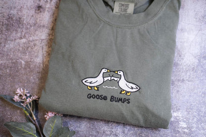 a couple of birds that are on a shirt
